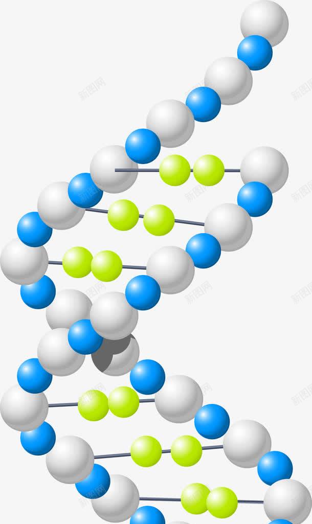 基因矢量图ai免抠素材_新图网 https://ixintu.com DNA DNA双螺旋结构图片 元素 基因 矢量图 科学