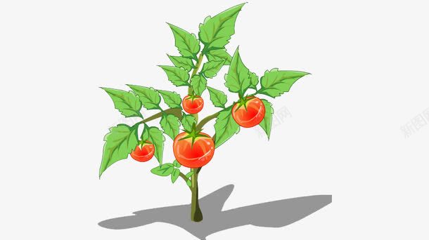 卡通番茄树png免抠素材_新图网 https://ixintu.com 卡通 无公害 植物 番茄树 纯天然 绿色 蔬菜类