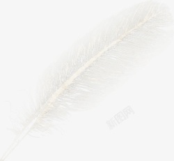 白色羽绒素材手绘白色羽毛高清图片