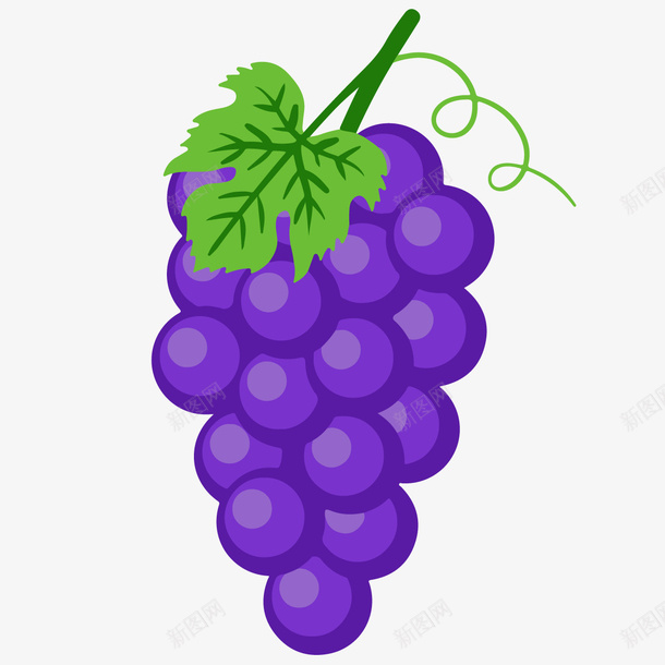 一串手绘的紫色葡萄矢量图ai免抠素材_新图网 https://ixintu.com 一串葡萄 新鲜 水果 紫色 美味 葡萄节 葡萄酒 矢量图