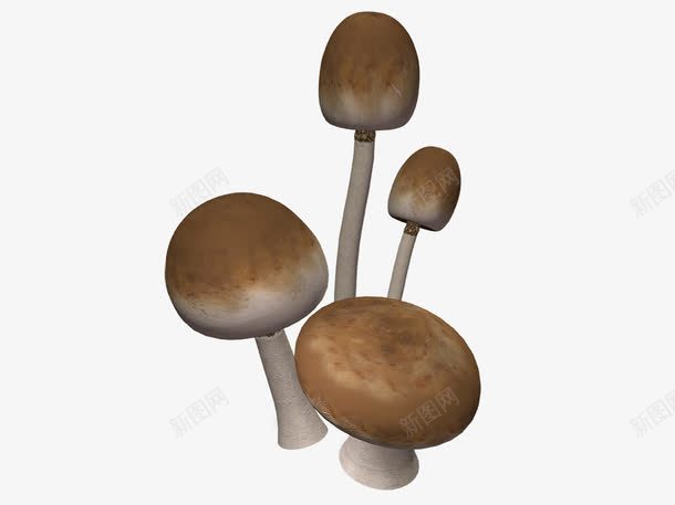 好大的蘑菇伞png免抠素材_新图网 https://ixintu.com 菇类 菌菇 蘑菇 金针菇 香菇