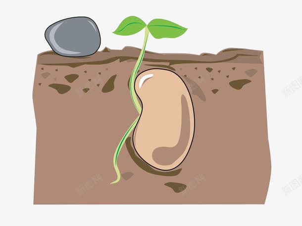 手绘土壤里的种子png免抠素材_新图网 https://ixintu.com 叶子 土块 土堆 土壤 手绘 植物 石块 种子