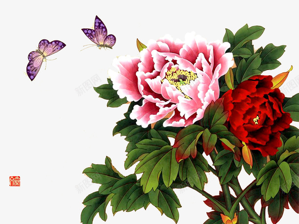工笔画8png免抠素材_新图网 https://ixintu.com 富贵 工笔画 浓艳 花朵