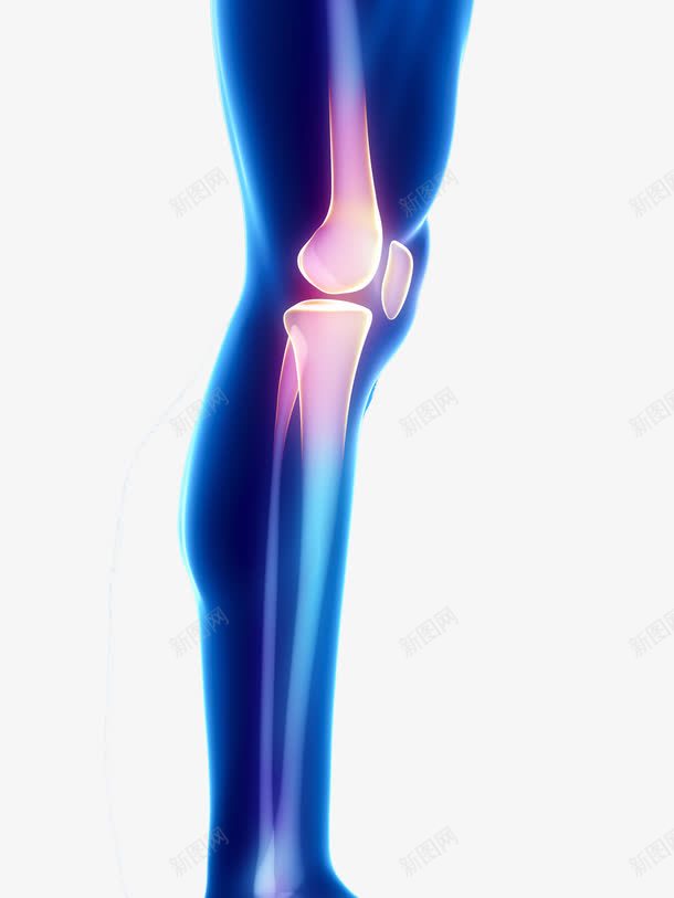 关节模型png免抠素材_新图网 https://ixintu.com 人物模型 关节 关节膝盖疼痛 生病病痛 疼痛 膝盖