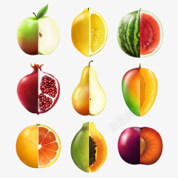 柚子切片多种水果插画高清图片