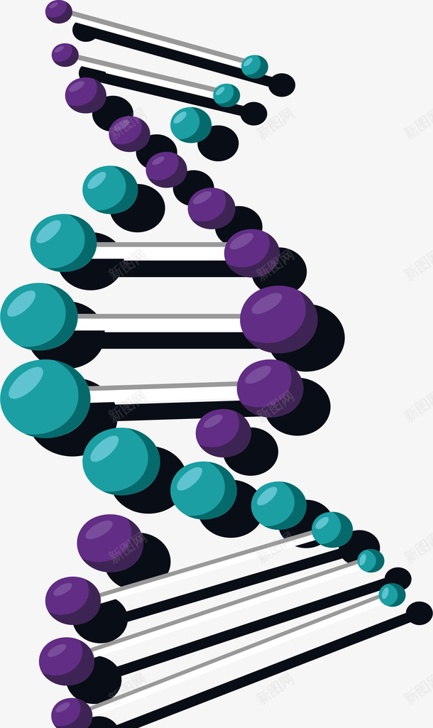 紫色绿色双螺旋矢量图ai免抠素材_新图网 https://ixintu.com DNA 双螺旋 生物分子 矢量png 紫色绿色 螺旋结构 矢量图