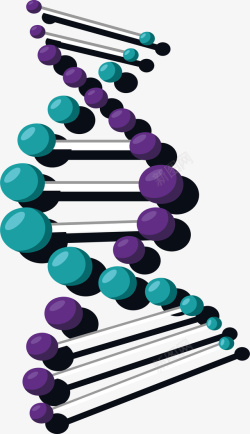 紫色DNA紫色绿色双螺旋矢量图高清图片