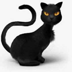 万圣节HALLOWEEN黑色图标猫的图标高清图片