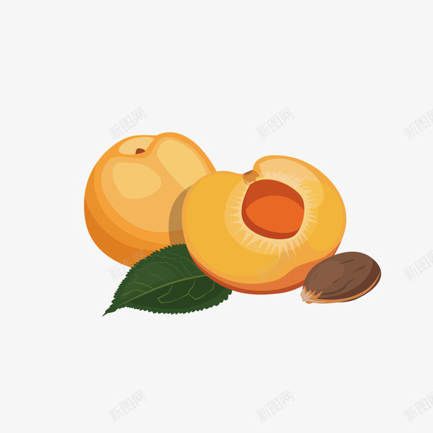 美味的杏子卡通图png免抠素材_新图网 https://ixintu.com 切开的 手绘图 杏子 杏核 果肉 水果 美味的