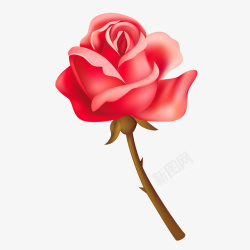 手绘一枝红色玫瑰花矢量图素材