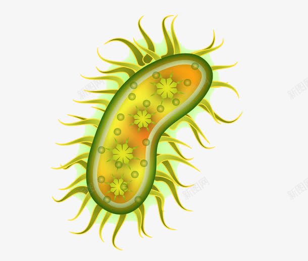 细菌模型png免抠素材_新图网 https://ixintu.com 医学研究 微生物 感染 病毒 病菌 科研