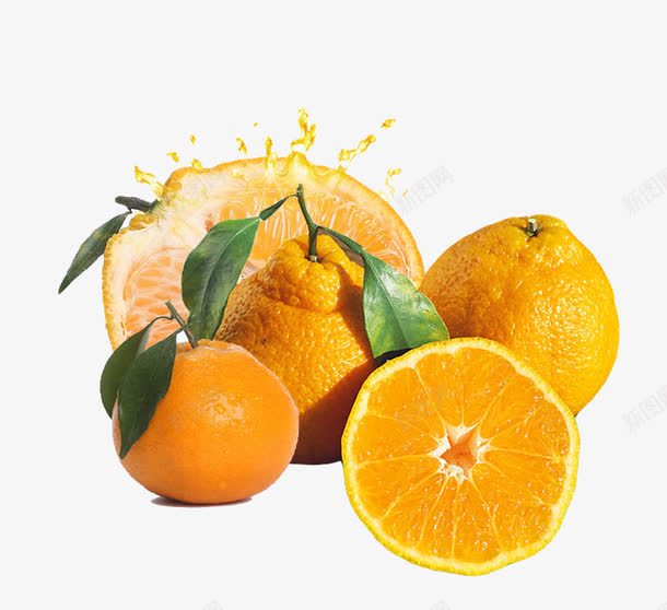新鲜丑橘psd免抠素材_新图网 https://ixintu.com 丑橘 多汁 橙色 水果 维生素C 鲜橙