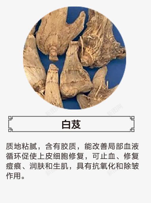 白芨png免抠素材_新图网 https://ixintu.com 中草药 中药 中药材 产品实物 名贵药材 淘宝中药 白芨 白芨功效 草药