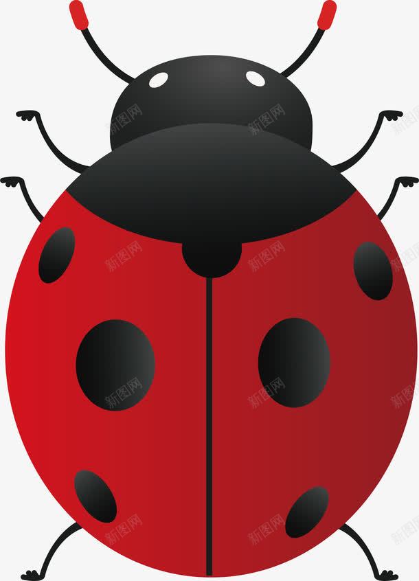 卡通红色瓢虫png免抠素材_新图网 https://ixintu.com 七星瓢虫 卡通 昆虫 矢量图案 红色 装饰图案