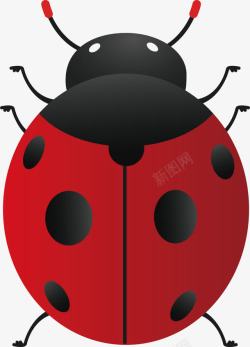 红色的瓢虫卡通红色瓢虫高清图片