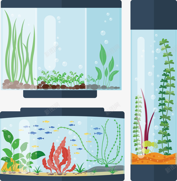 三个各种形状的鱼缸矢量图eps免抠素材_新图网 https://ixintu.com 三个 不同形状 不同形状的鱼缸 不同形状的鱼缸png 不同形状的鱼缸矢量图 鱼缸 矢量图