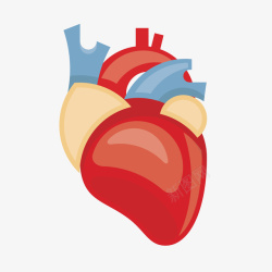 精准医学模型卡通手绘医学心脏模型图矢量图高清图片