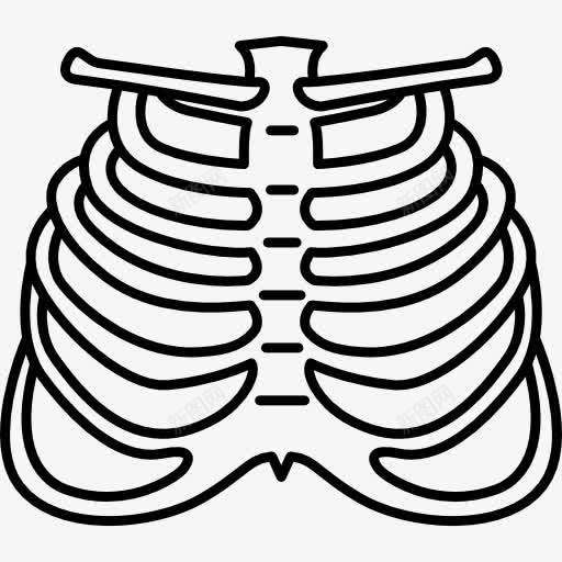 人的肋骨图标png_新图网 https://ixintu.com 医疗 医疗诊所 解剖 身体部位 骨头 骨架