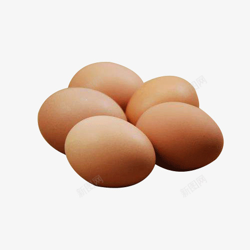 高营养价值野生洋鸡蛋png免抠素材_新图网 https://ixintu.com 产品实图 圆形物体 洋鸡蛋 源文件 蛋 食品 鸡蛋