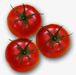 盛夏热汇番茄俯视高清图片