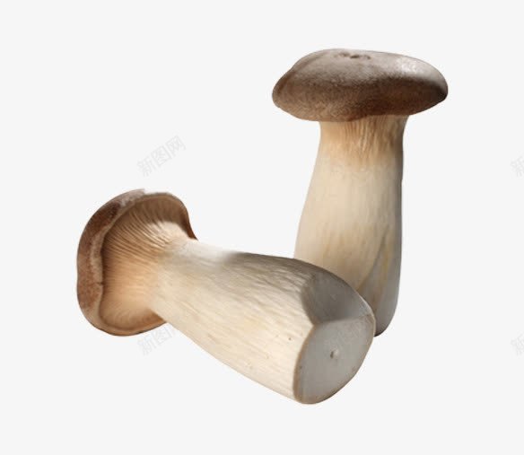 新鲜的蘑菇片png免抠素材_新图网 https://ixintu.com 健康食品 大腿菇图片 美味的蘑菇图片 菌类食材