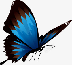 卡通虫子蓝色蝴蝶矢量图高清图片