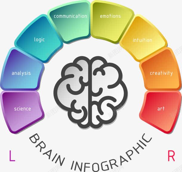 创意大脑图表png免抠素材_新图网 https://ixintu.com PPT元素 信息 分类 创意大脑图表 商业 商务 图表 数据 统计