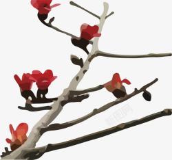 红花树六朵木棉花依附在树枝上高清图片