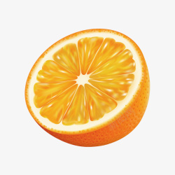 手绘橙子剖面素材