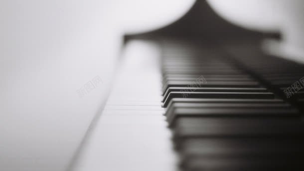 黑白钢琴键模糊背景jpg设计背景_新图网 https://ixintu.com 模糊 琴键 背景 黑白
