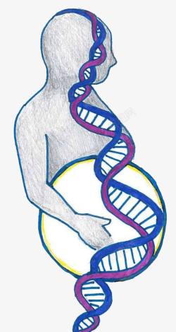 阆椾紶瀛手绘人体DNA基因链图形高清图片
