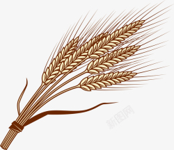 谷物麦子创意图标图标