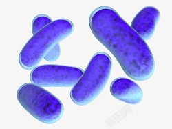 生物学的研究蓝色细菌3D立体插画高清图片