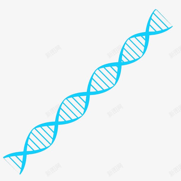 蓝色卡通基因链png免抠素材_新图网 https://ixintu.com 基因链 生物学 蓝色