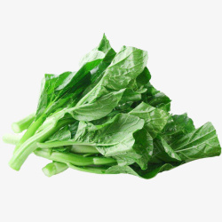 绿色素菜几根新鲜绿色健康广东菜心食材免高清图片