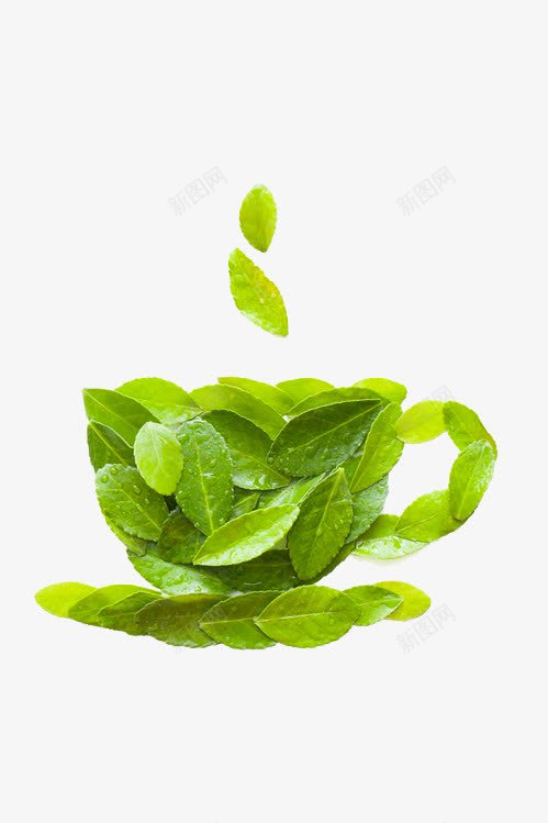 茶叶png免抠素材_新图网 https://ixintu.com 新茶 新茶上市 新鲜 春茶 春茶上市 茶叶 茶杯 茶艺 造型