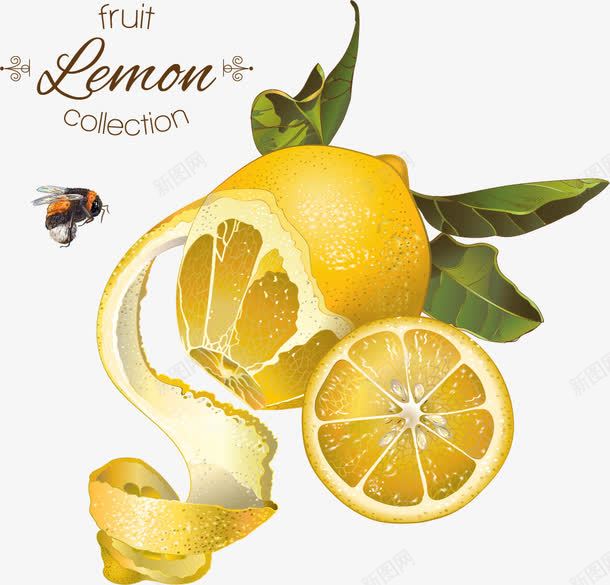 复古橙子柠檬蜂蜜背景png免抠素材_新图网 https://ixintu.com 山楂 柠檬 橙子 水果 水果店海报 维生素 蜂蜜