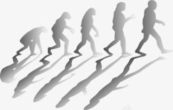 人类进化进化过程高清图片