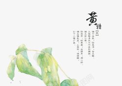 黄精植物手绘中医中药高清图片