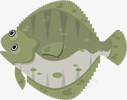 绿色鱼鳍带刺比目鱼矢量图素材