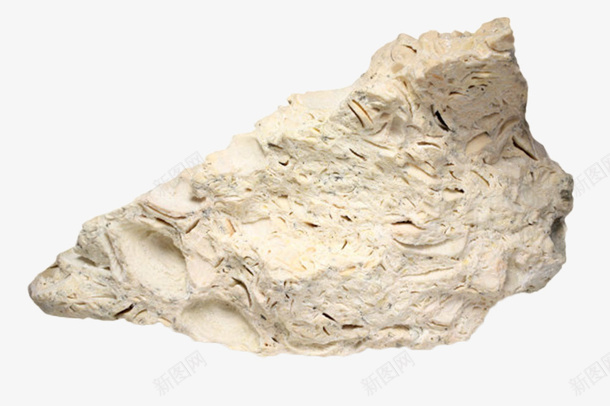 白色孤立的石灰石实物png免抠素材_新图网 https://ixintu.com 价值 动物 古生物 坚硬 收藏 珍贵 石头 科学家 科研 考研 远古