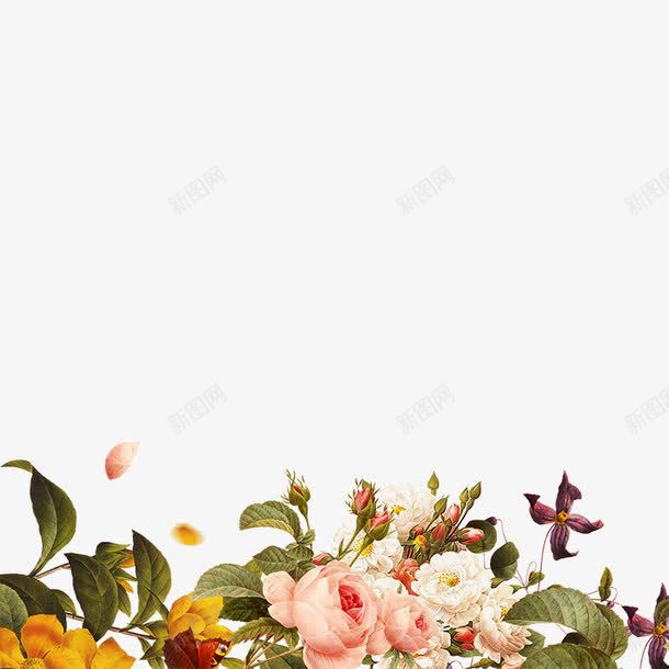 手绘花簇海报装饰png免抠素材_新图网 https://ixintu.com 唯美插画 手绘植物 手绘花朵 花卉