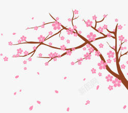 浪漫樱花节樱花节日本海报鲜花高清图片