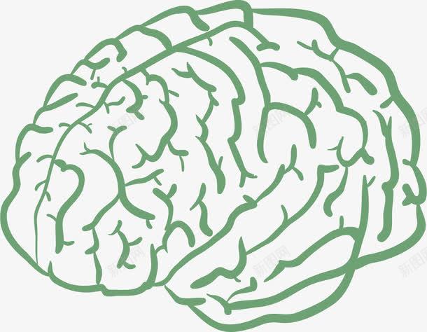 卡通手绘人脑png免抠素材_新图网 https://ixintu.com 人脑 人脑图 卡通手绘 大脑 头脑 最强大脑 绿色 脑浆 脑神经