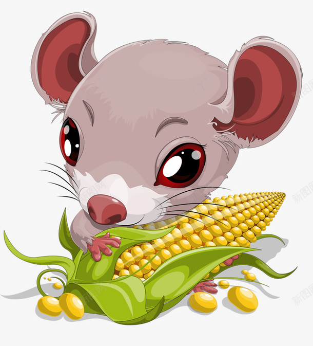 吃玉米的老鼠png免抠素材_新图网 https://ixintu.com 可爱 大眼睛 手绘 玉米 老鼠