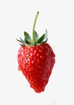 滴水草莓摄影小草莓高清图片