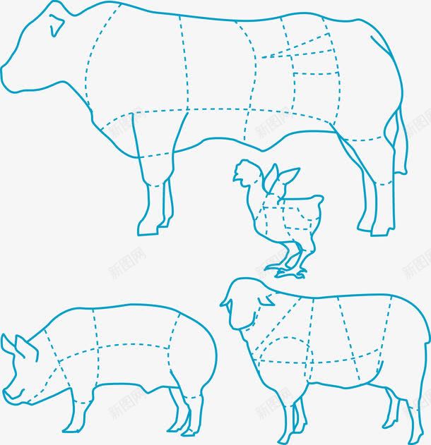 猪牛羊鸡食肉分布图png免抠素材_新图网 https://ixintu.com 牛 猪 羊 肉 鸡