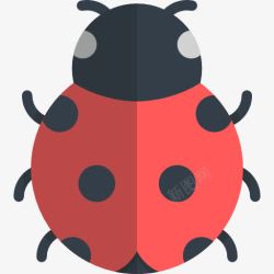 七星瓢虫图标ico七星瓢虫图标高清图片