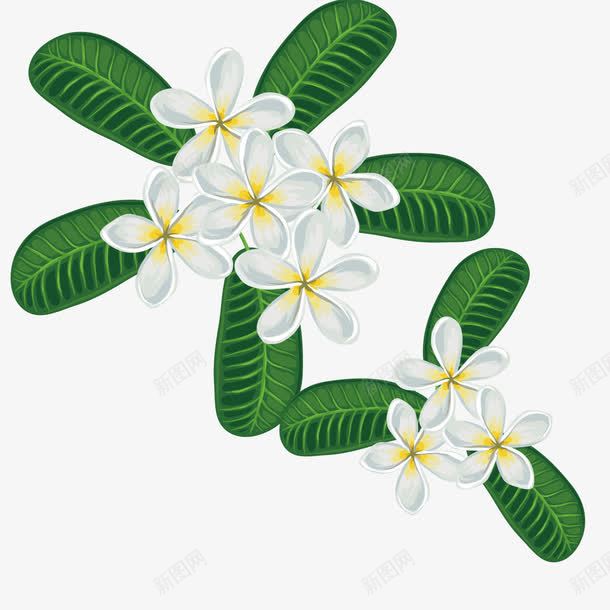 白色栀子花png免抠素材_新图网 https://ixintu.com 叶子 唯美 栀子花 植物 热带 白色 花朵