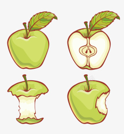 苹果的一生绿色苹果的一生高清图片